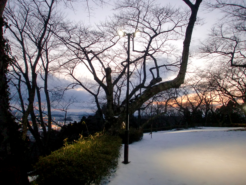 館山公園既設灯光器交換工事