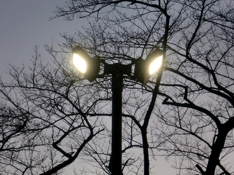 館山公園既設灯光器交換工事